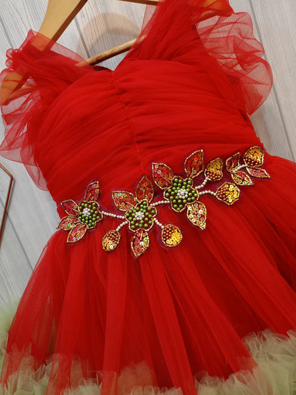 Beautiful Birthday Dress | Mother Daughter Combo Dress